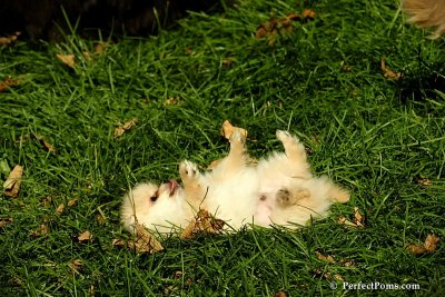 Nov2_07_317.JPG