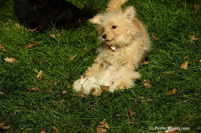 Nov2_07_320.JPG