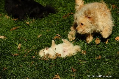 Nov2_07_321.JPG