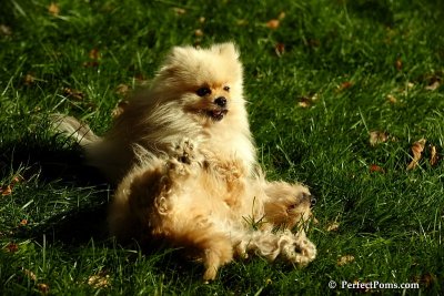 Nov2_07_400.JPG