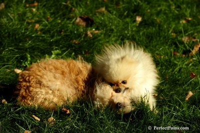Nov2_07_404.JPG