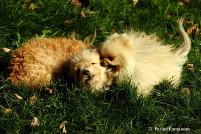 Nov2_07_406.JPG