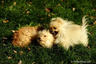Nov2_07_410.JPG