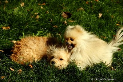 Nov2_07_413.JPG