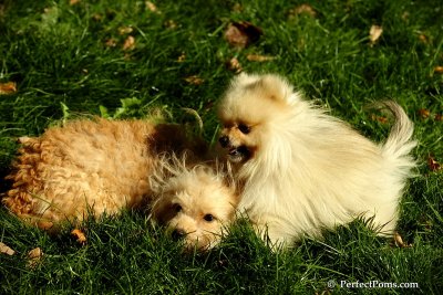 Nov2_07_414.JPG