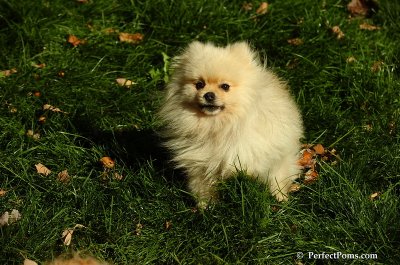 Nov2_07_416.JPG
