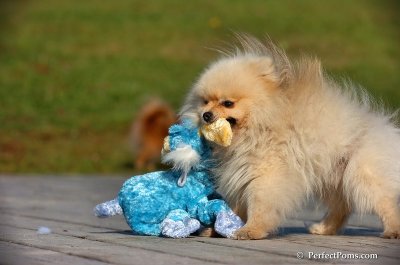 Nov10_07_342.jpg