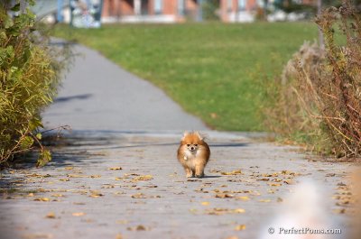 Nov10_07_408.jpg