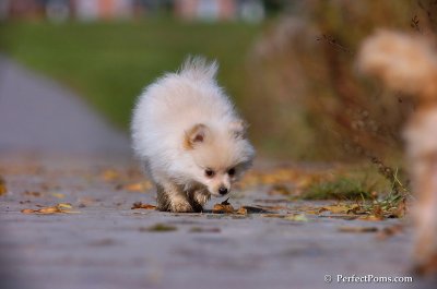 Nov10_07_410.jpg