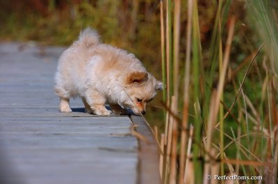 Nov10_07_415.jpg