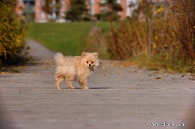 Nov10_07_417.jpg