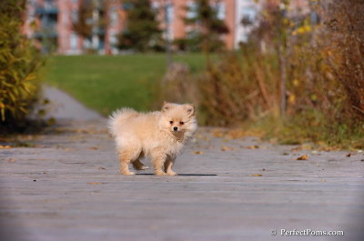 Nov10_07_418.jpg