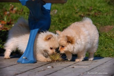 Nov10_07_153.jpg