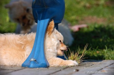 Nov10_07_157.jpg