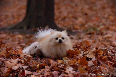 Nov11_07_071.jpg