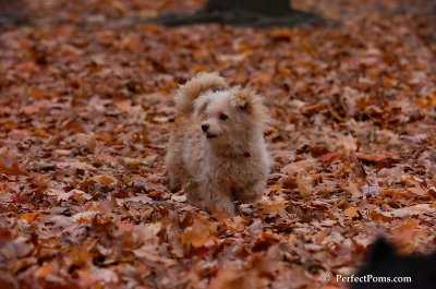 Nov11_07_076.jpg