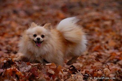Nov11_07_090.jpg