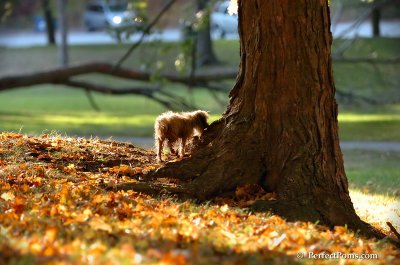 Oct3_07_1127.JPG