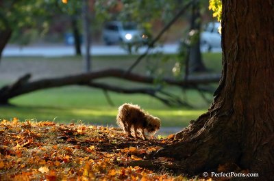 Oct3_07_1128.JPG
