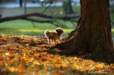 Oct3_07_1129.JPG