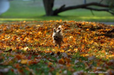Oct3_07_1130.JPG