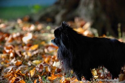 Oct3_07_1135.JPG