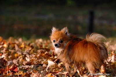 Oct3_07_1140.JPG