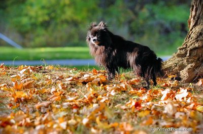 Oct3_07_1146.JPG