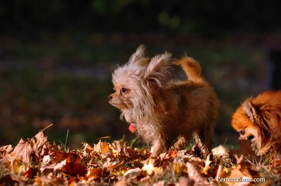 Oct3_07_1153.JPG