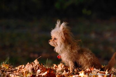 Oct3_07_1155.JPG