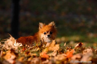 Oct3_07_1169.JPG