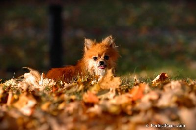 Oct3_07_1175.JPG