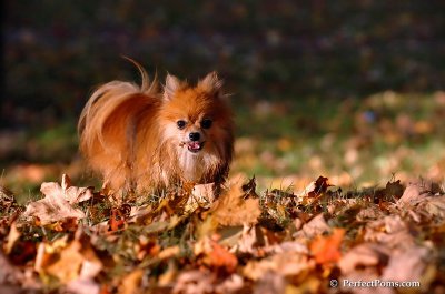 Oct3_07_1177.JPG