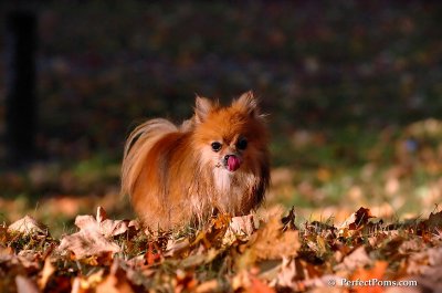Oct3_07_1179.JPG