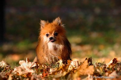 Oct3_07_1183.JPG