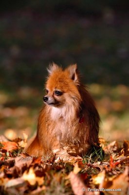 Oct3_07_1185.JPG