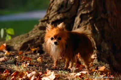 Oct3_07_1188.JPG