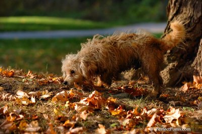 Oct3_07_1190.JPG