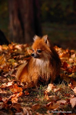 Oct3_07_1191.JPG