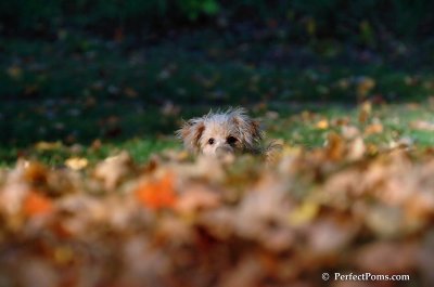 Oct3_07_1197.JPG
