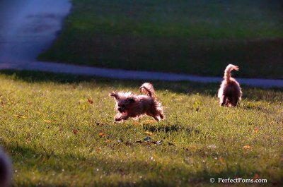 Oct3_07_1242.JPG