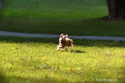 Oct3_07_1253.JPG