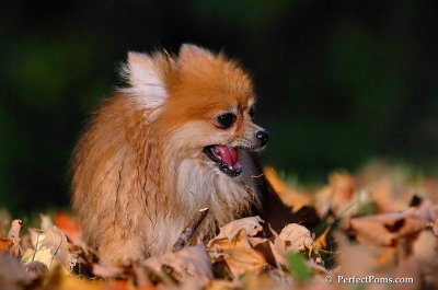 Oct3_07_1280.JPG