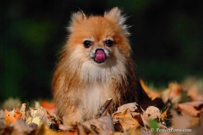 Oct3_07_1284.JPG