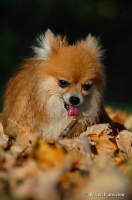 Oct3_07_1286.jpg