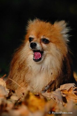 Oct3_07_1288.jpg