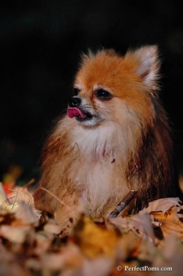 Oct3_07_1291.jpg