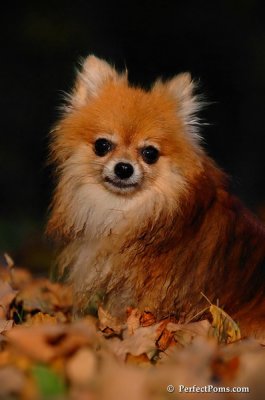Oct3_07_1309.jpg