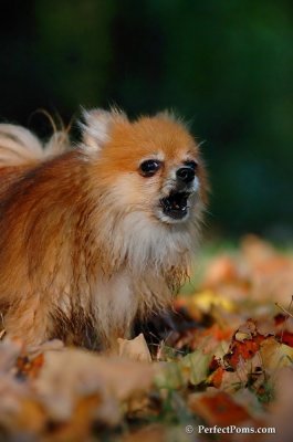 Oct3_07_1322.jpg