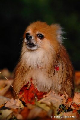 Oct3_07_1335.jpg